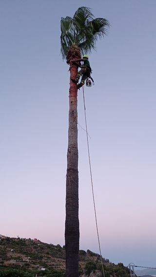 Jardinero a domicilio