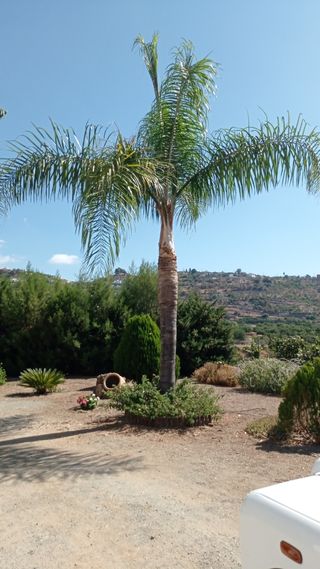 Jardinero a domicilio