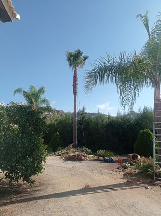 Jardinero a domicilio