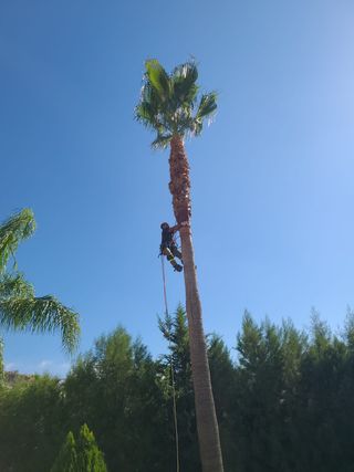 Jardinero a domicilio