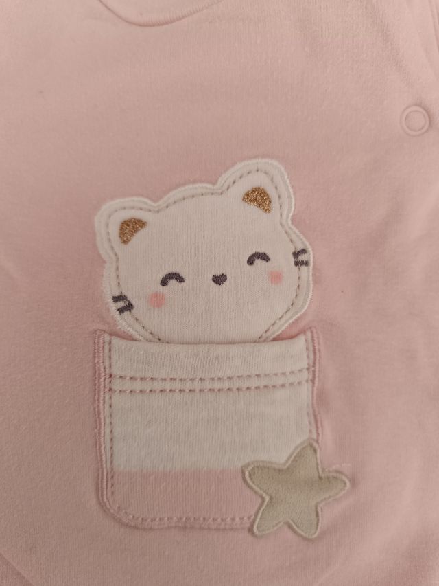 Primera puesta mayoral