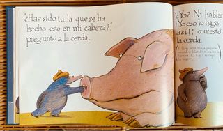 Libro infantil EL TOPO QUE QUERIA SABER...