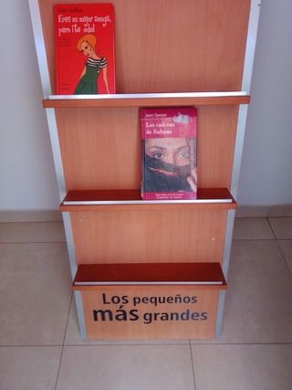 Estanteria expositor 