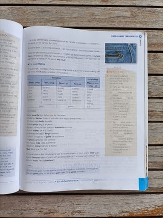 Llengua catalana i Literatura 1 ESO