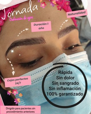 Micropigmentación 