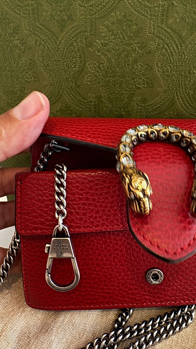 Gucci Dionísio pequeno