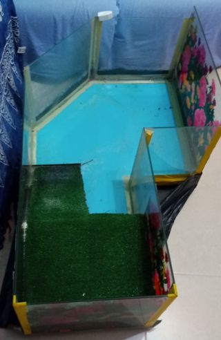 Terrario para tortugas