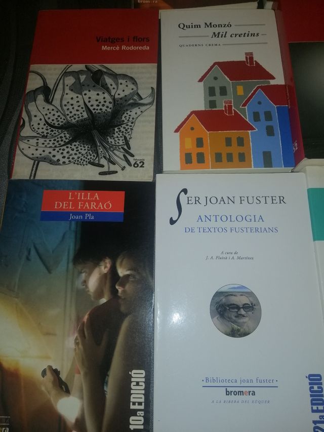 Libros de lectura en castellano. 