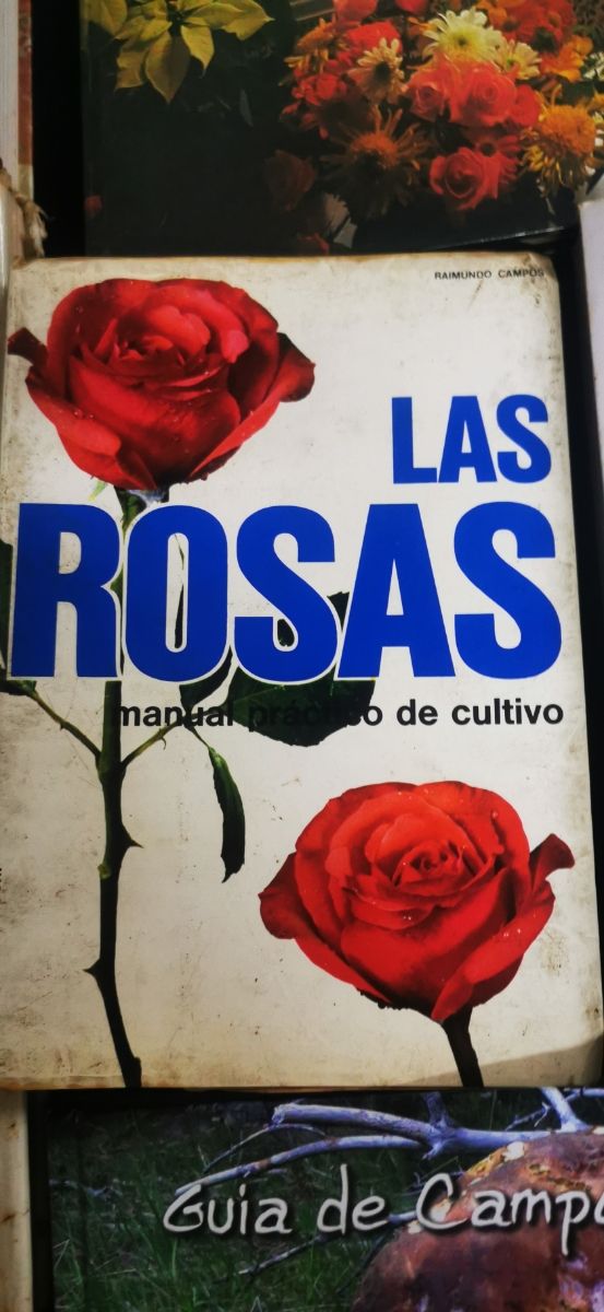 Livros - Tudo sobre plantas