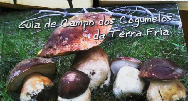 Livros - Tudo sobre plantas