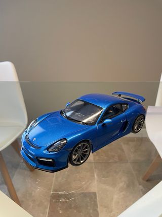 Lote Camion transporte Porsche GT