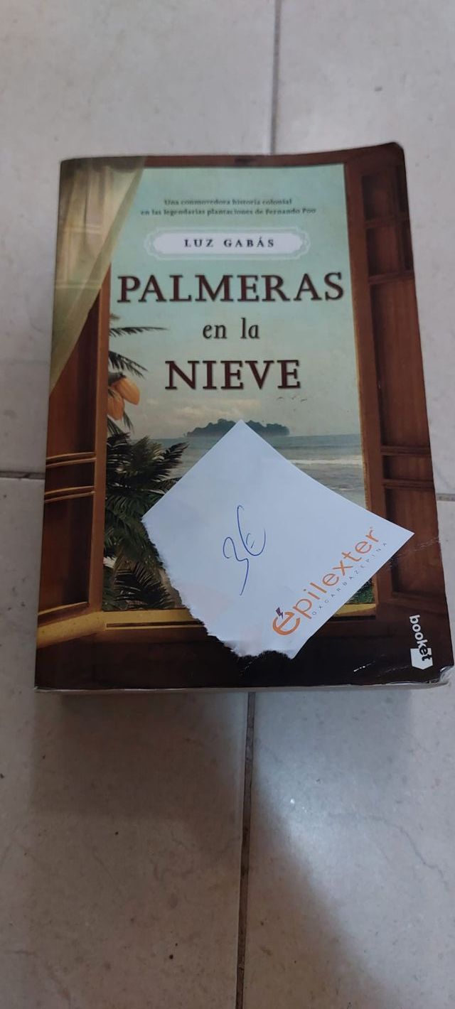Palmeras en la nieve de Luz Gabás