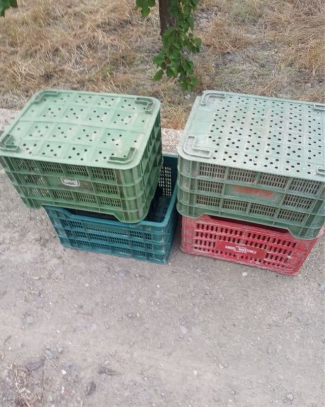 Cajas de plástico