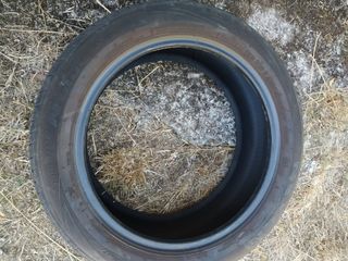 Neumático 2024 205/55R17 95 V Marca NEXEM