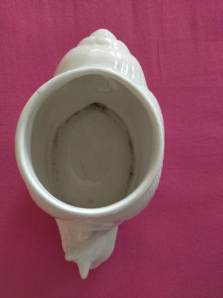 Maceta cerámica caracol cáctus