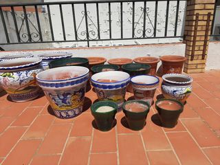 Macetas de varios tamaños