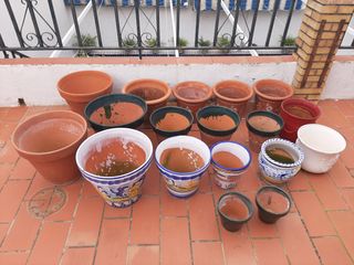 Macetas de varios tamaños