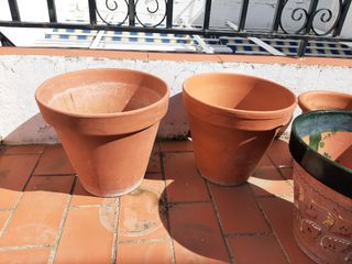Macetas de varios tamaños