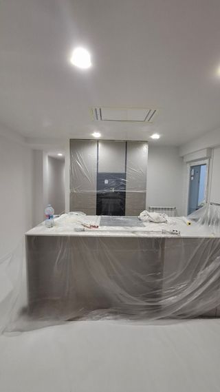 Pintor profesional, decoración...

