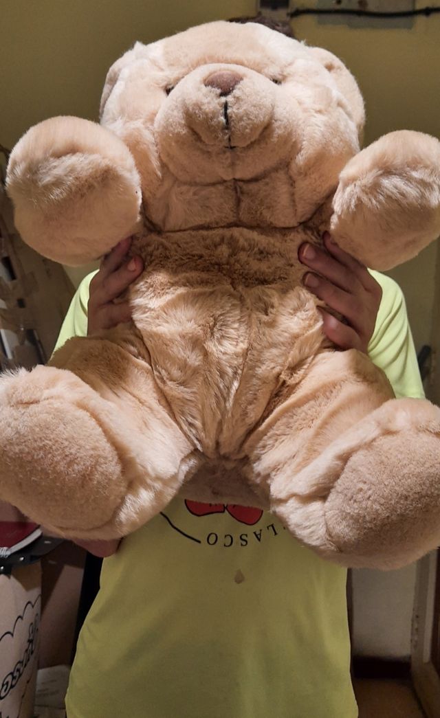 Coleccionistas:oso peluche britanico