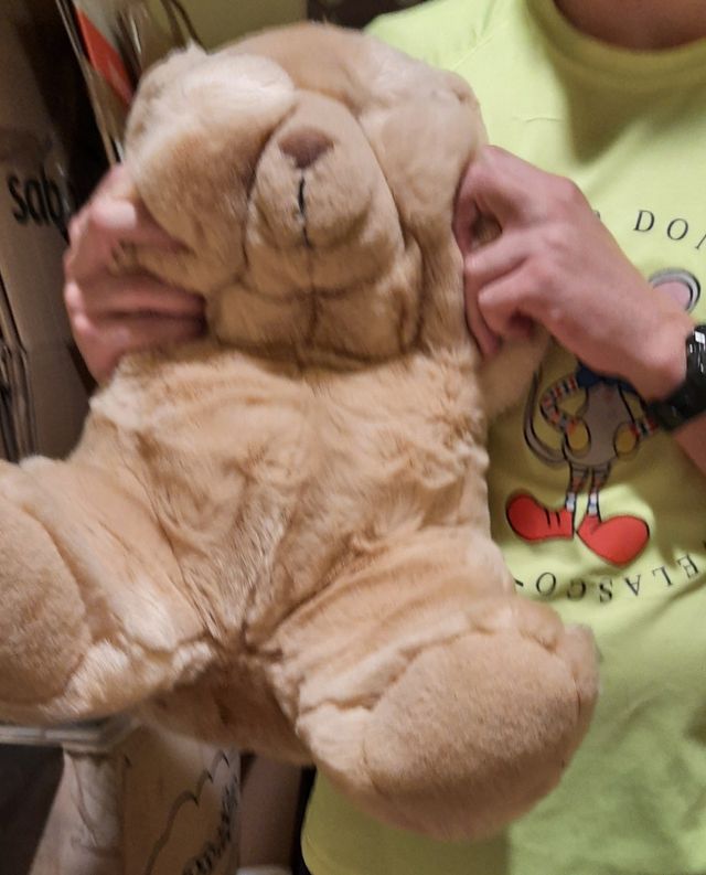 Coleccionistas:oso peluche britanico