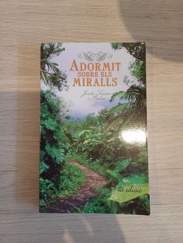 Adormit sobre els Miralls