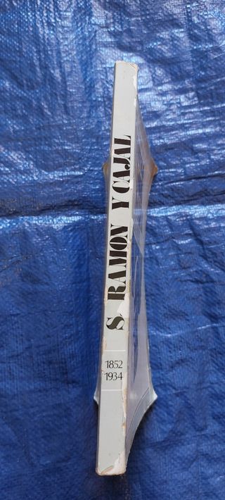 Santiago Ramón y Cajal