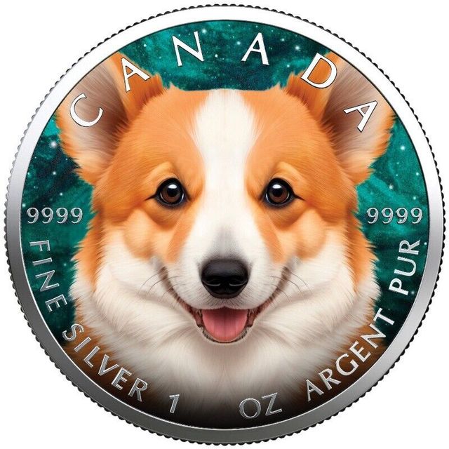 MONEDA DE CANADA 5 DOLARES 2023 1 OZ PLATA, GALES