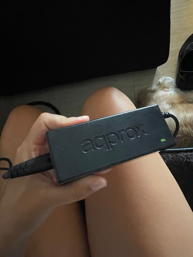 Portátil Toshiba Satellite Pro C-50