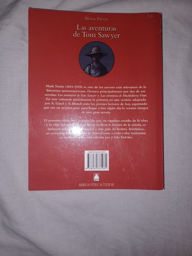 Las aventuras de Tom Sawyer. Adaptación