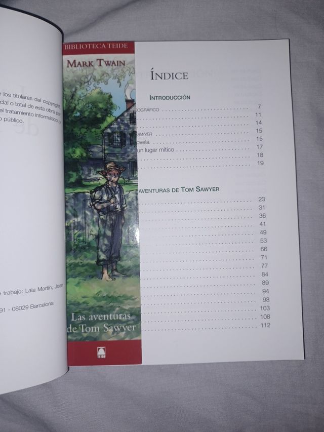 Las aventuras de Tom Sawyer. Adaptación