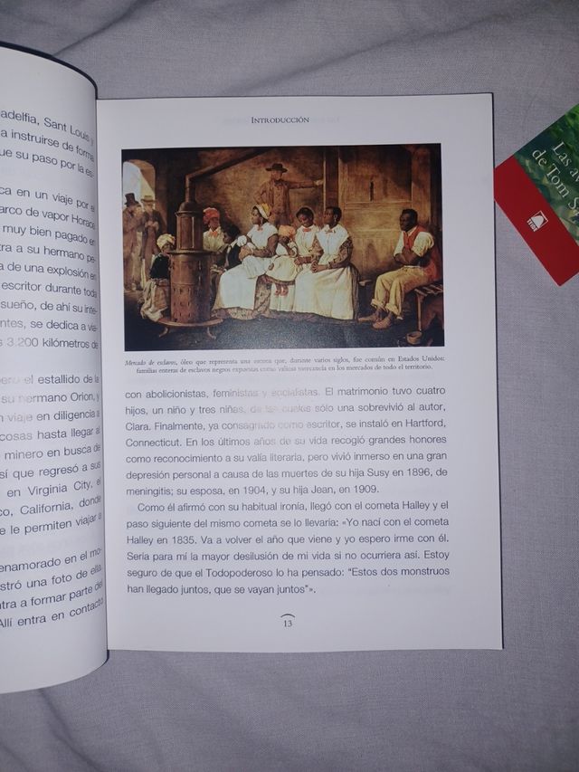 Las aventuras de Tom Sawyer. Adaptación