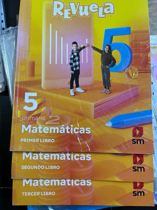 Lote de libros de texto quinto primaria Zaragoza