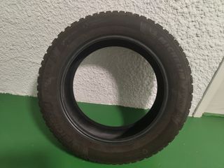Neumático Michelin Alpin 6