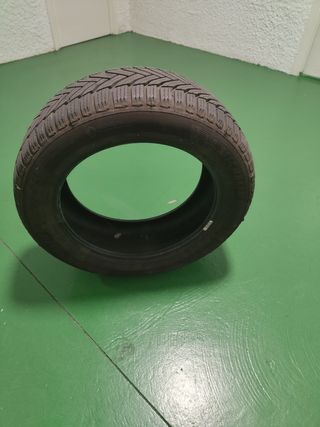 Neumático Michelin Alpin 6