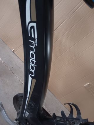 Bicicleta eléctrica