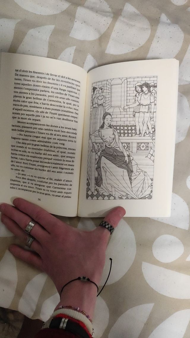 Tirant lo blanc Libro en valenciano