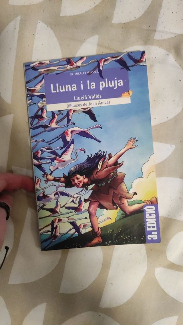 Lluna i la pluja Libro valenciano