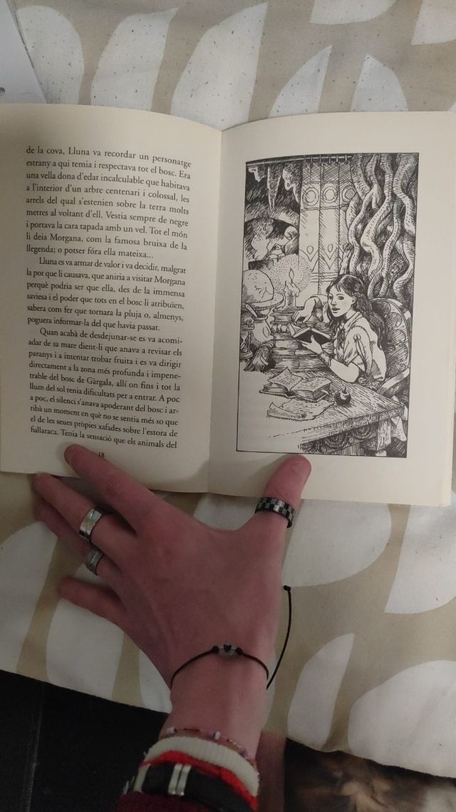 Lluna i la pluja Libro valenciano