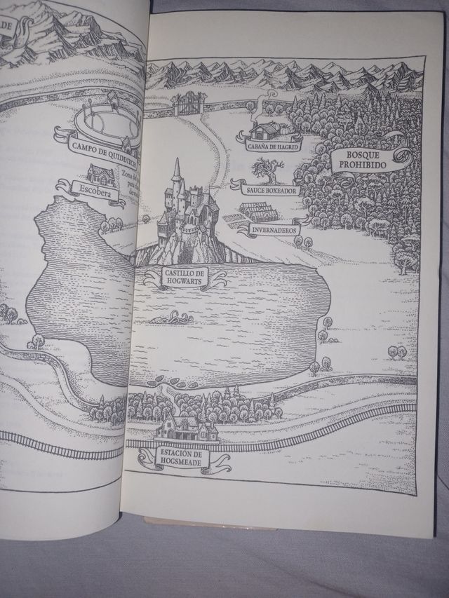 Harry Potter y la cámara secreta 2.