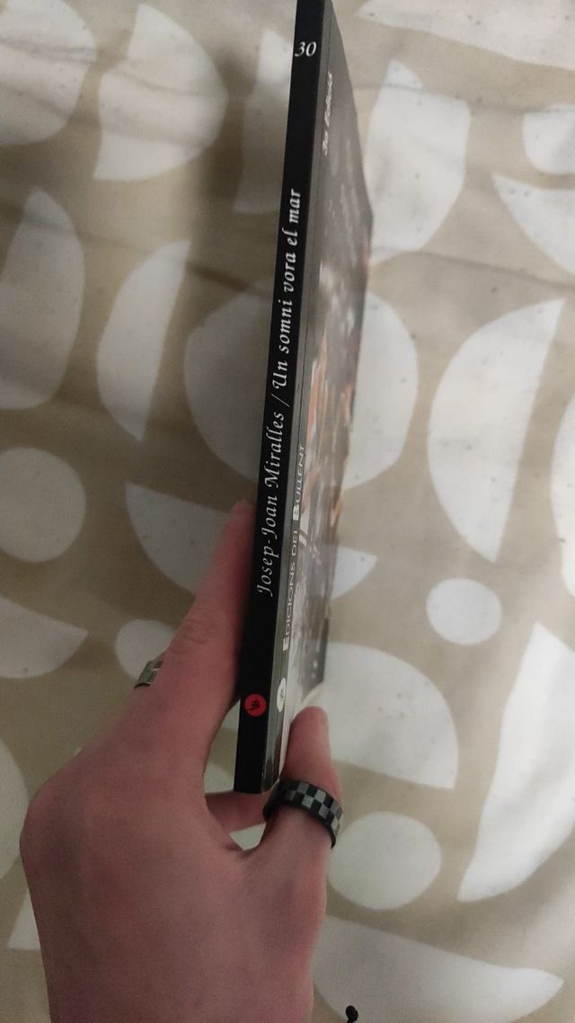 Un somni vora el mar