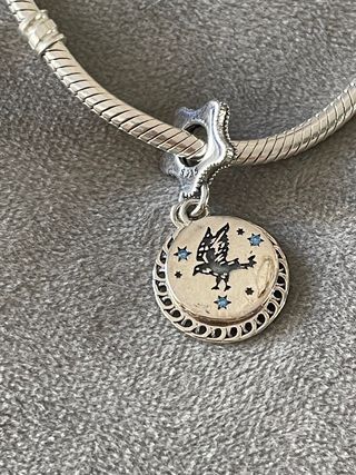 Charm Ravenclaw Harry Potter 