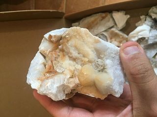 Minerali Quarzo Carrara diamante herkimer Minerals