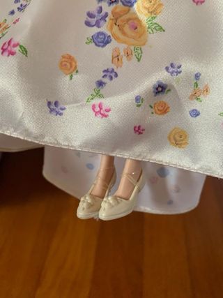 Muñeca Cenicienta coleccion