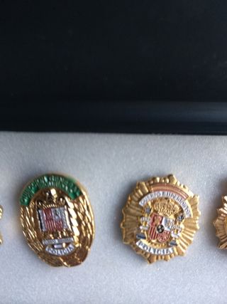 Colecion pins