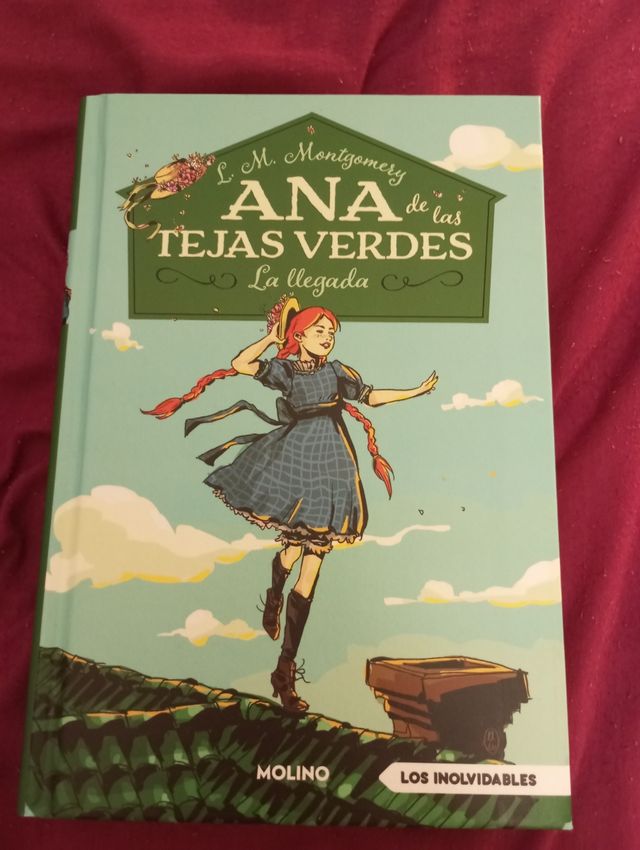 Ana de las tejas Verdes: La llegada