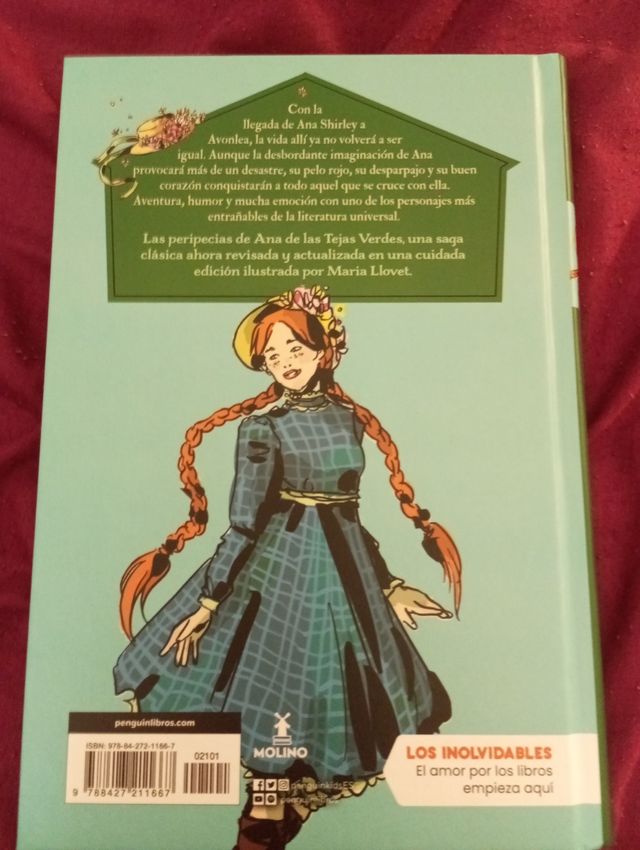 Ana de las tejas Verdes: La llegada