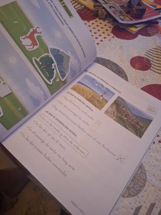 Ciencias sociales 1 edelvives