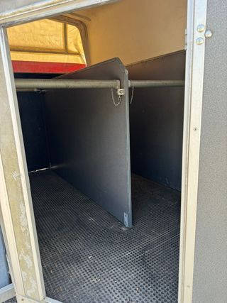Van para dos caballos