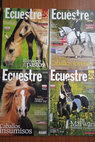 Colección Ecuestre
